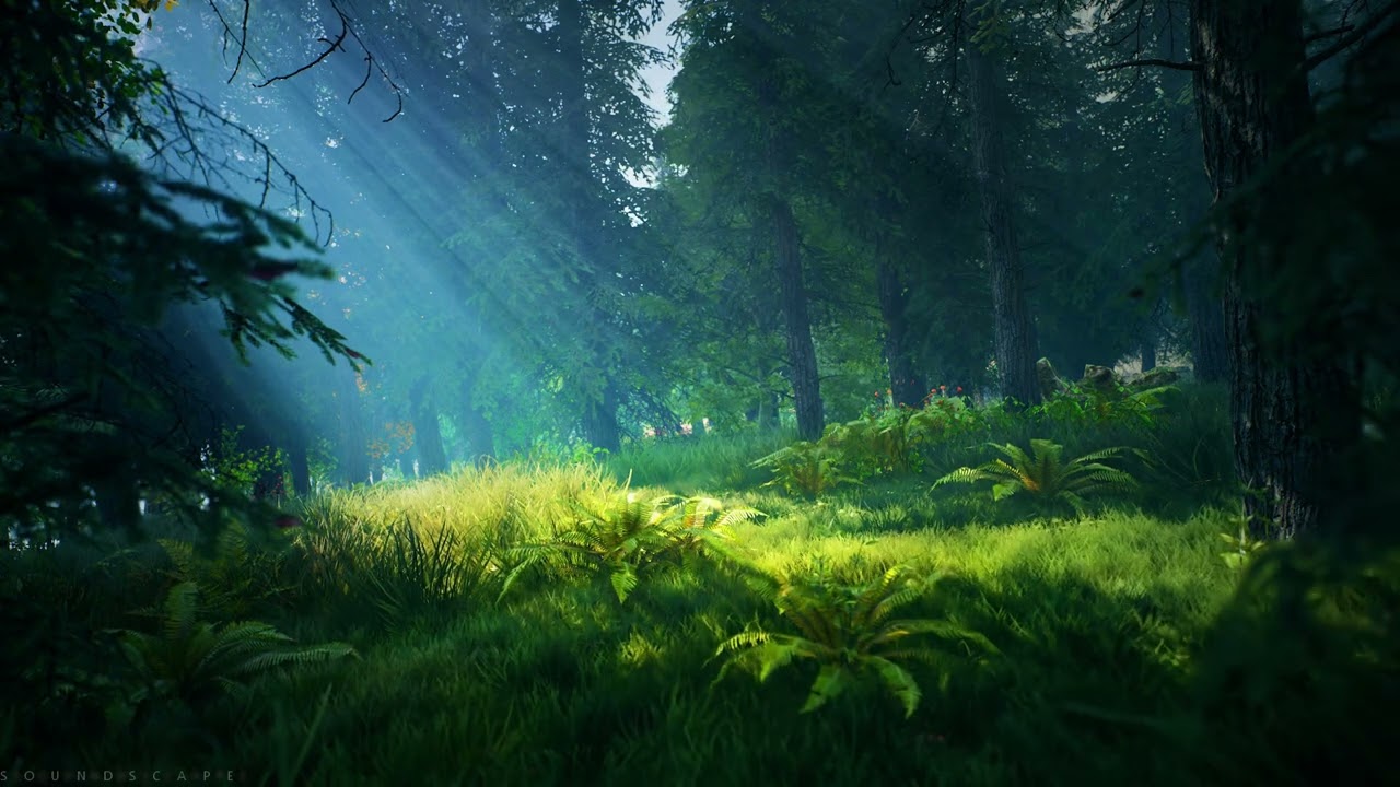 Pandora Forest | Nature Sounds | Ambience Shifting