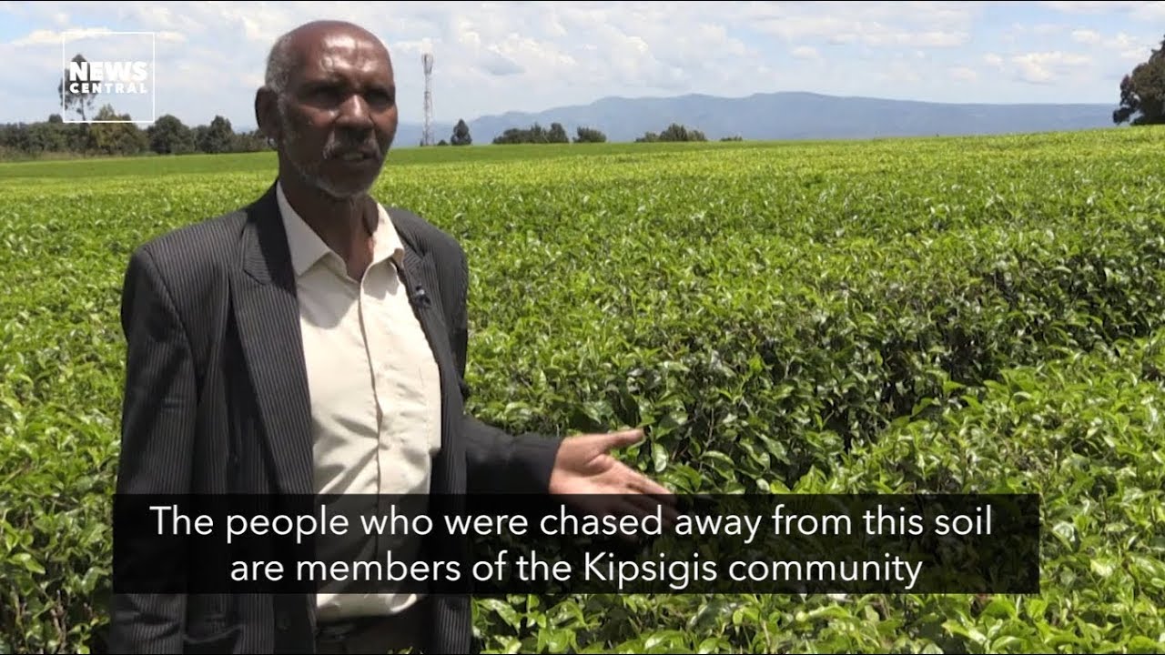 Blood Tea: These Kenyans Are Suing the UK for Land Theft | News Central