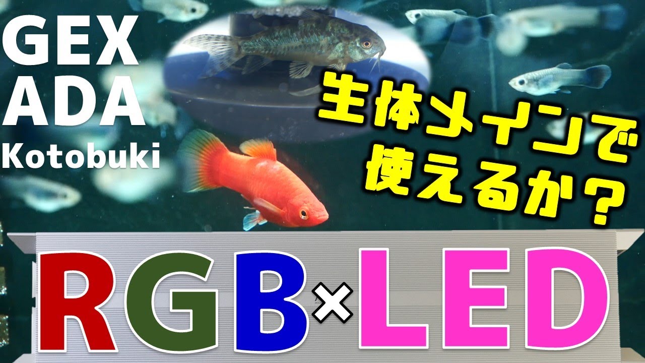 【LED照明】ADAのRGB60と他メーカーのLEDを比較！生体メイン水槽でも使えるのか、考察してみた【ふぶきテトラ】