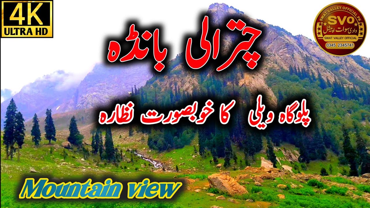 Paloga Valley | Chatrali Banda | چترالی بانڈہ | Full HD video - Swatvalleyofficialpk.
