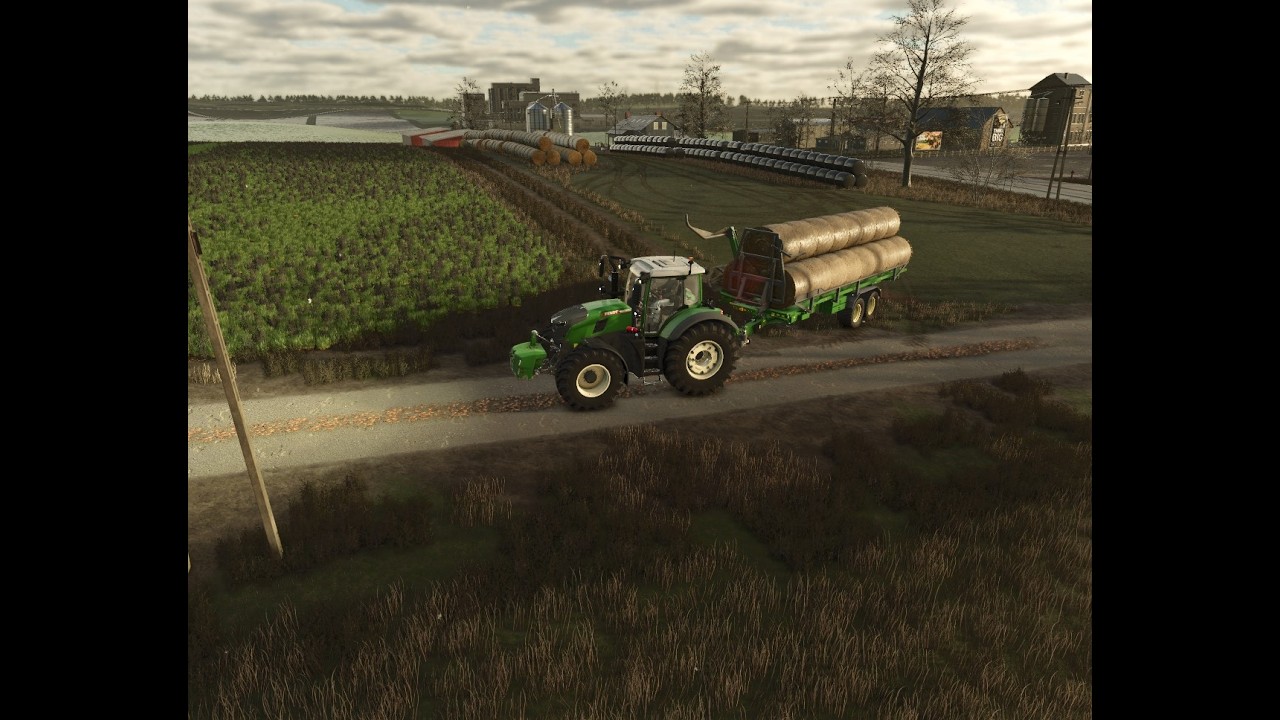 Krmení, sklizeň pšenice - Farming Slimulator 25 S01E38