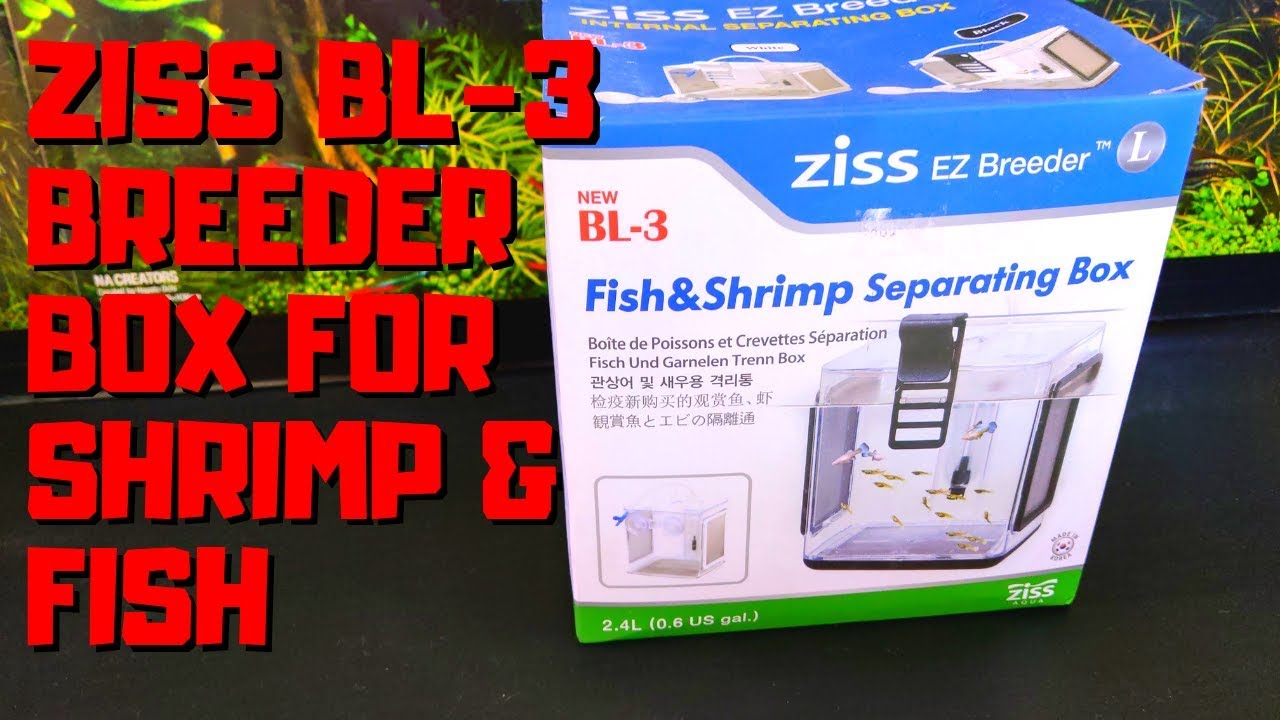 ZISS BREEDER BOX