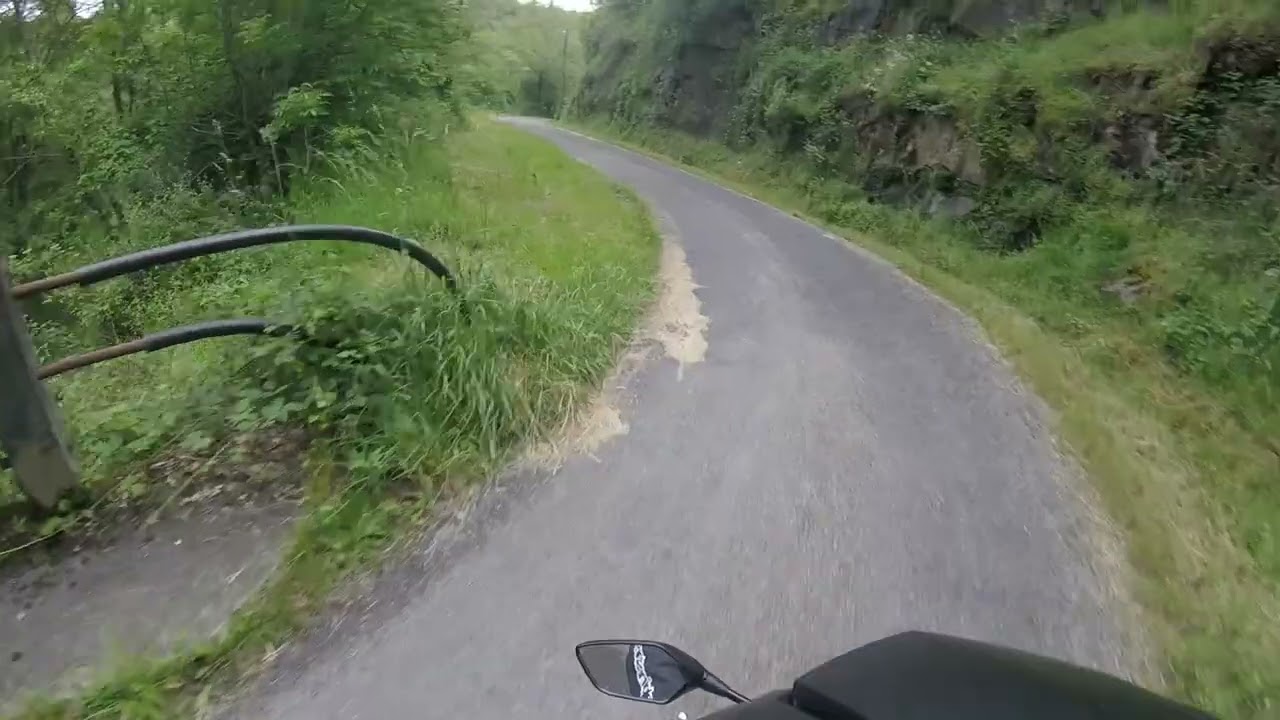 Test Dunlop Mutant