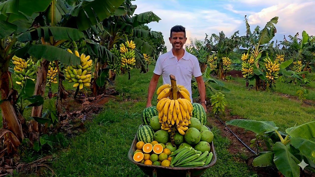 🌱 Um para&iacute;so escondido na ro&ccedil;a! S&iacute;tio incr&iacute;vel e muito produtivo aqui tem banana, melancia coco, etc