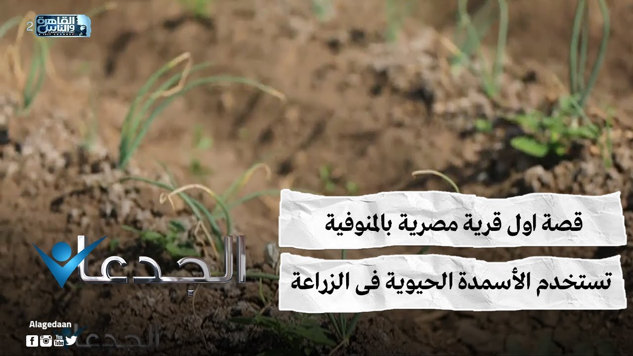 قصة اول قرية مصرية بالمنوفية تستخدم الأسمدة الحيوية فى الزراعة