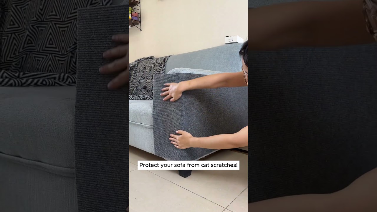 Cat Scratch Protection for Your Couch &ndash; Easy to Apply!  #couch #cat
