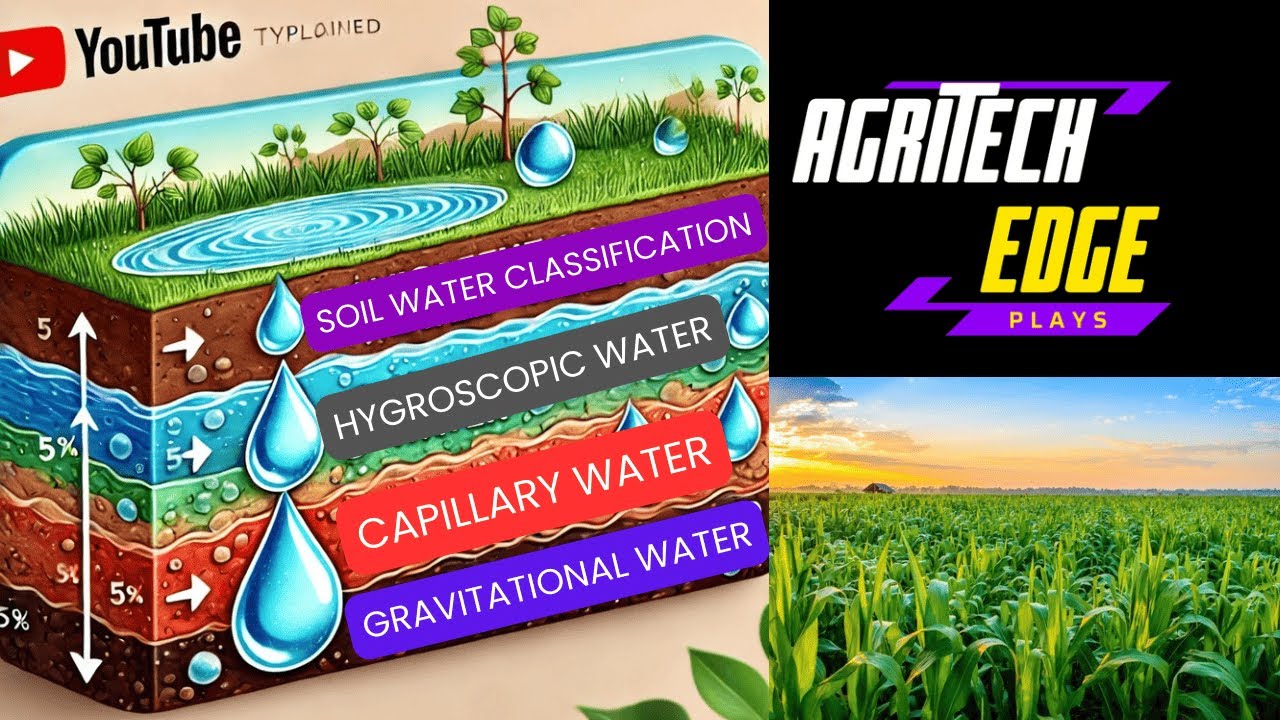 &ldquo;Types of Soil Water Explained | Gravitational, Capillary, Hygroscopic Water&rdquo;