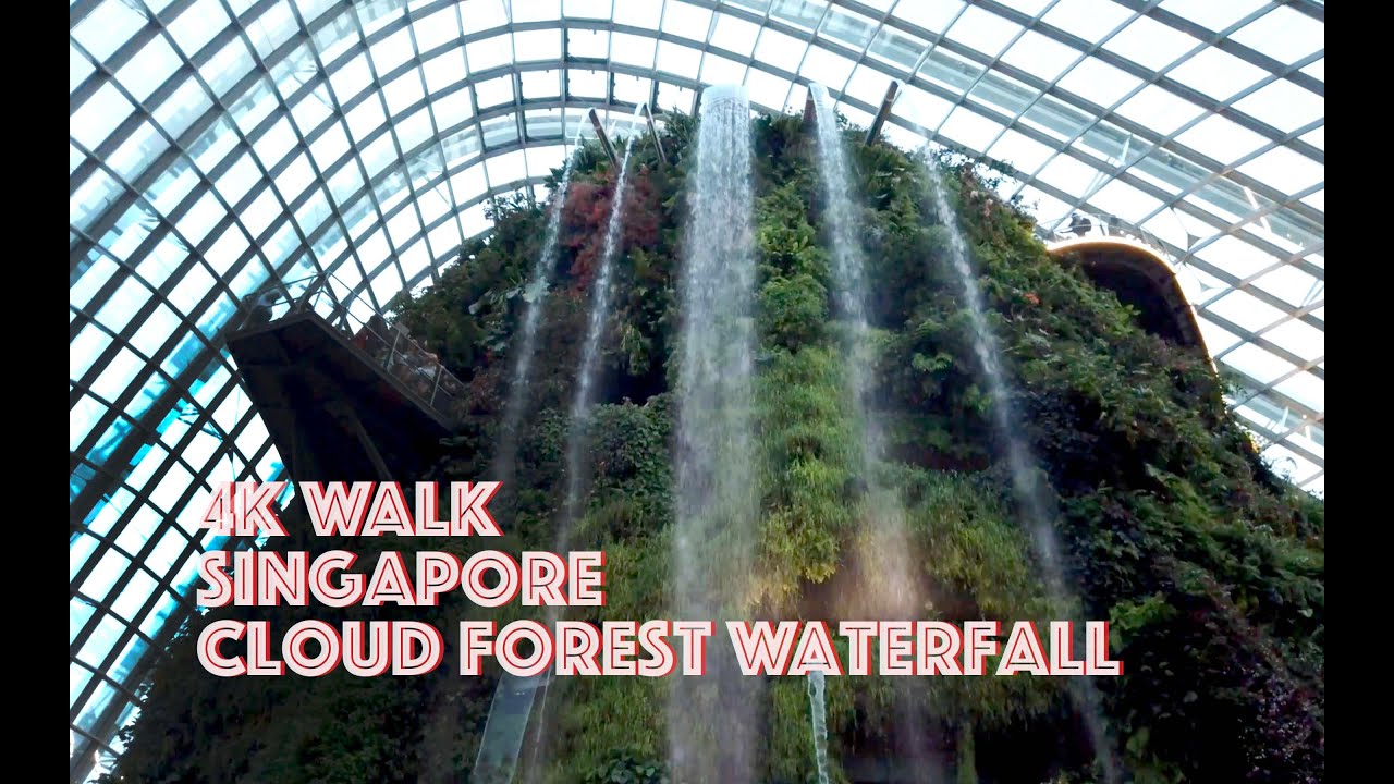 4K Nature Walk : Breathtaking Indoor Waterfall Cloud Forest Virtual Tour / Singapore Walk 187