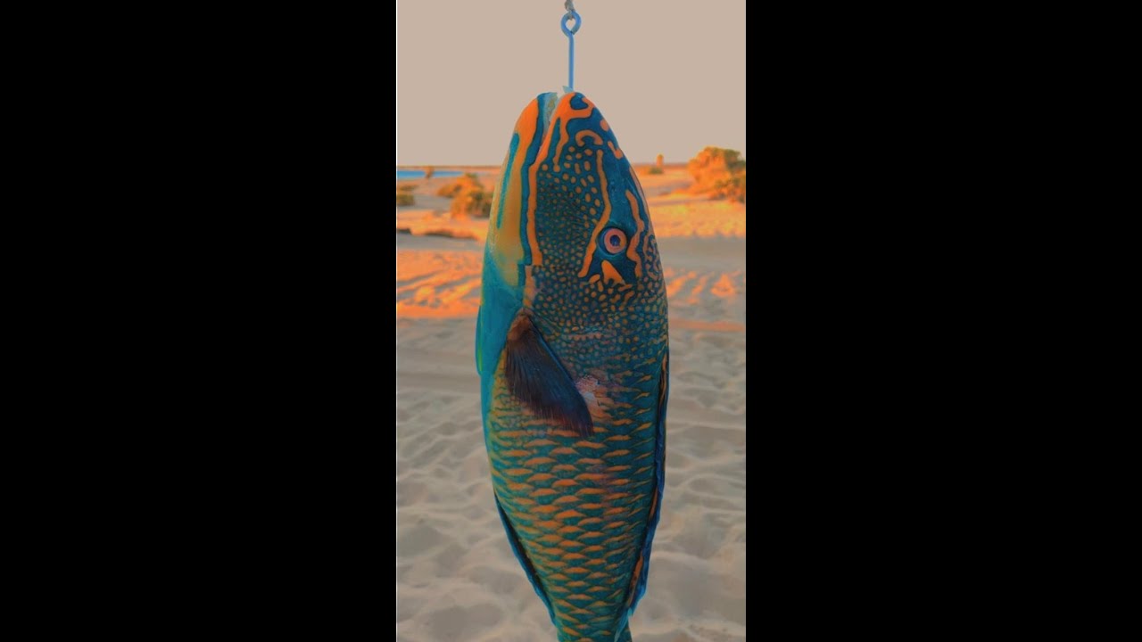 أنواع اسماك الحريد طبخناها ب4 طبخات على شواطئ نيوم  Parrot fish for diffrent cooking ways