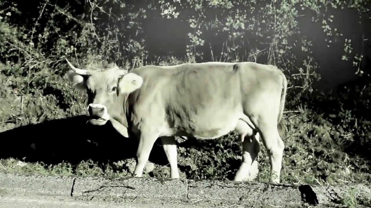 Sarule: Lungo uno sguardo (eng - ita - srd subtitles)