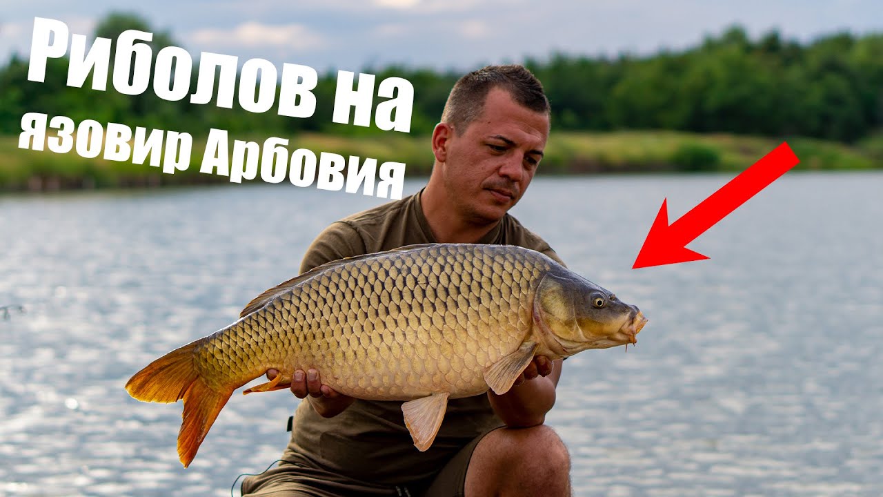 Риболов на язовир Арбовия