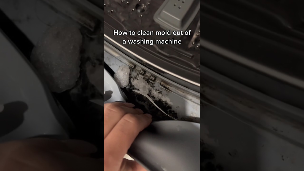 How to clean mold from washing machine rubber