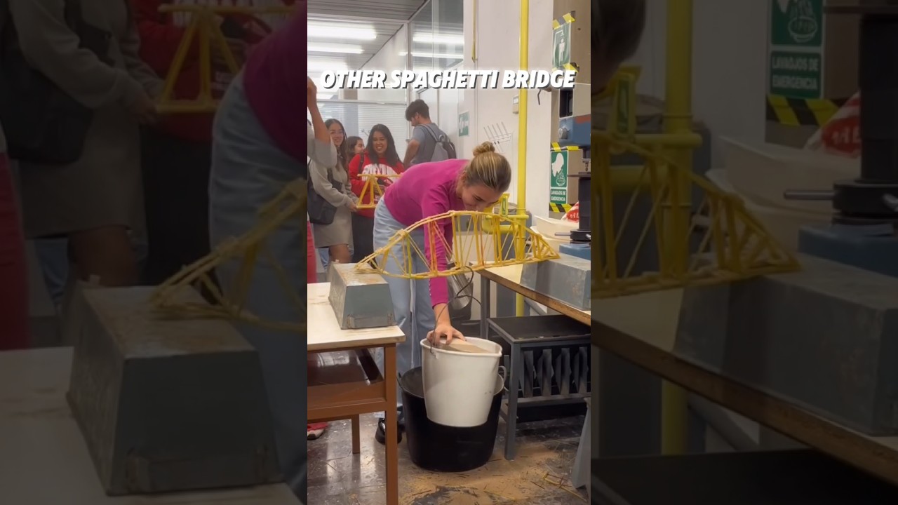 other spaghetti bridge vs last one #troll#trollface #trolledits #othervslastone