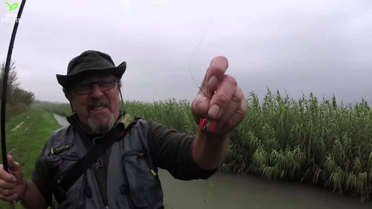 Quand Momo oublie un d&eacute;tail... (MICH P&Ecirc;CHE)