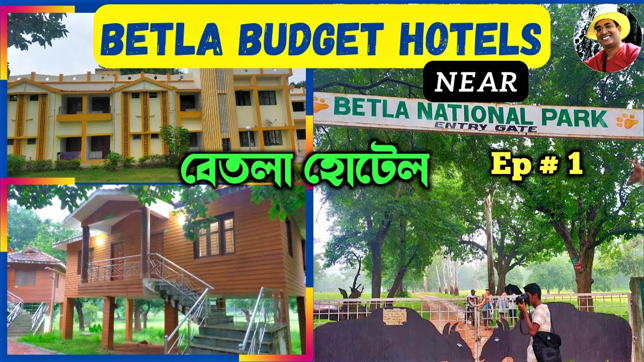 Best Budget Hotels in Betla| Betla Hotels Near Betla National Park|বেতলা হোটেল 