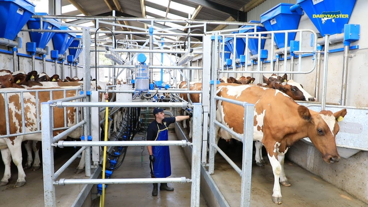 Milk production up, Feed cost down? See How!