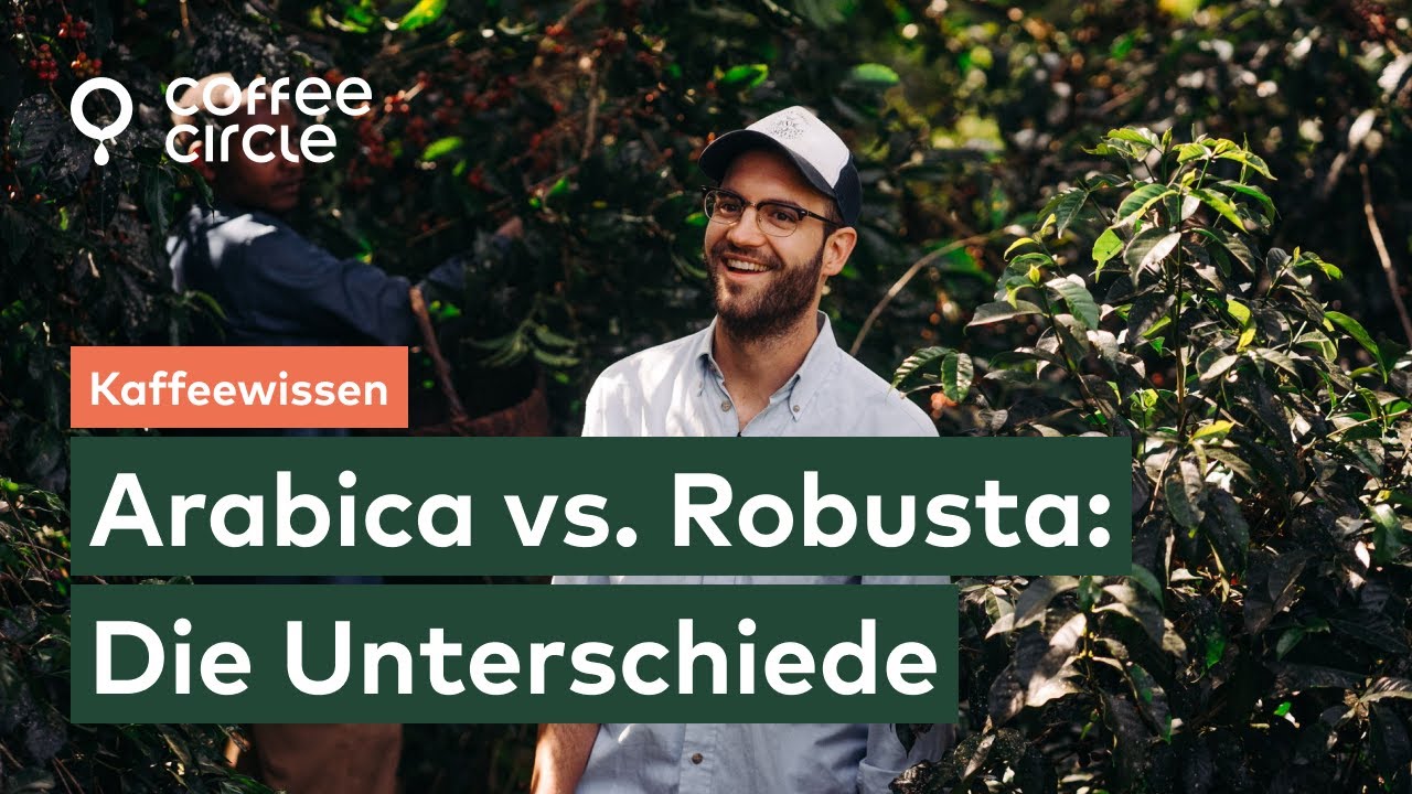 Arabica vs. Robusta – Was sind die Unterschiede?