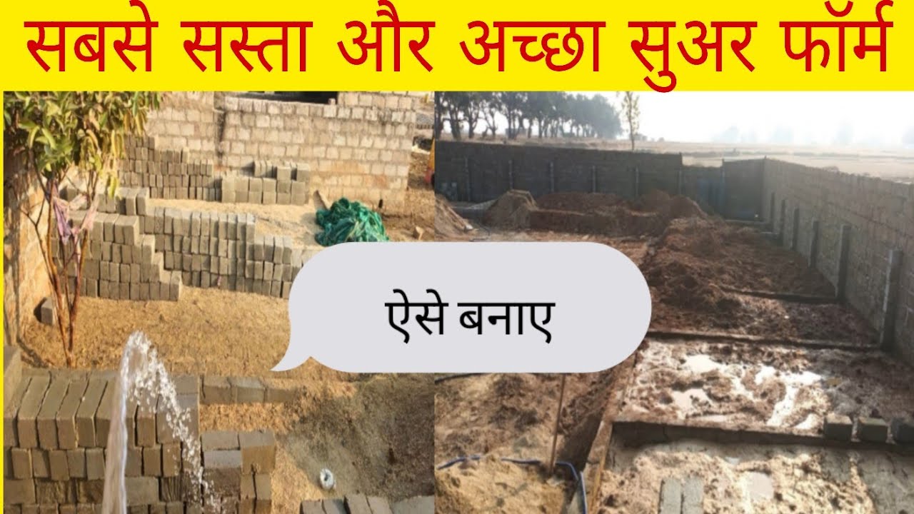 सीमेंट कि ईंट से बनाए सुअर फॉर्म और बचाए लाखों रुपए?