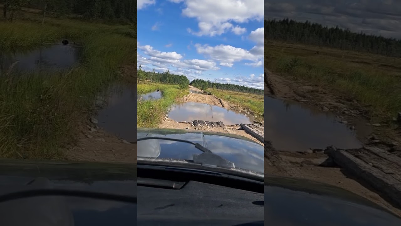 Дорога в Архангельскую область.Надвоицы,Унежма,Золотуха,Малошуйка.Забытые поселки.Август 2023.