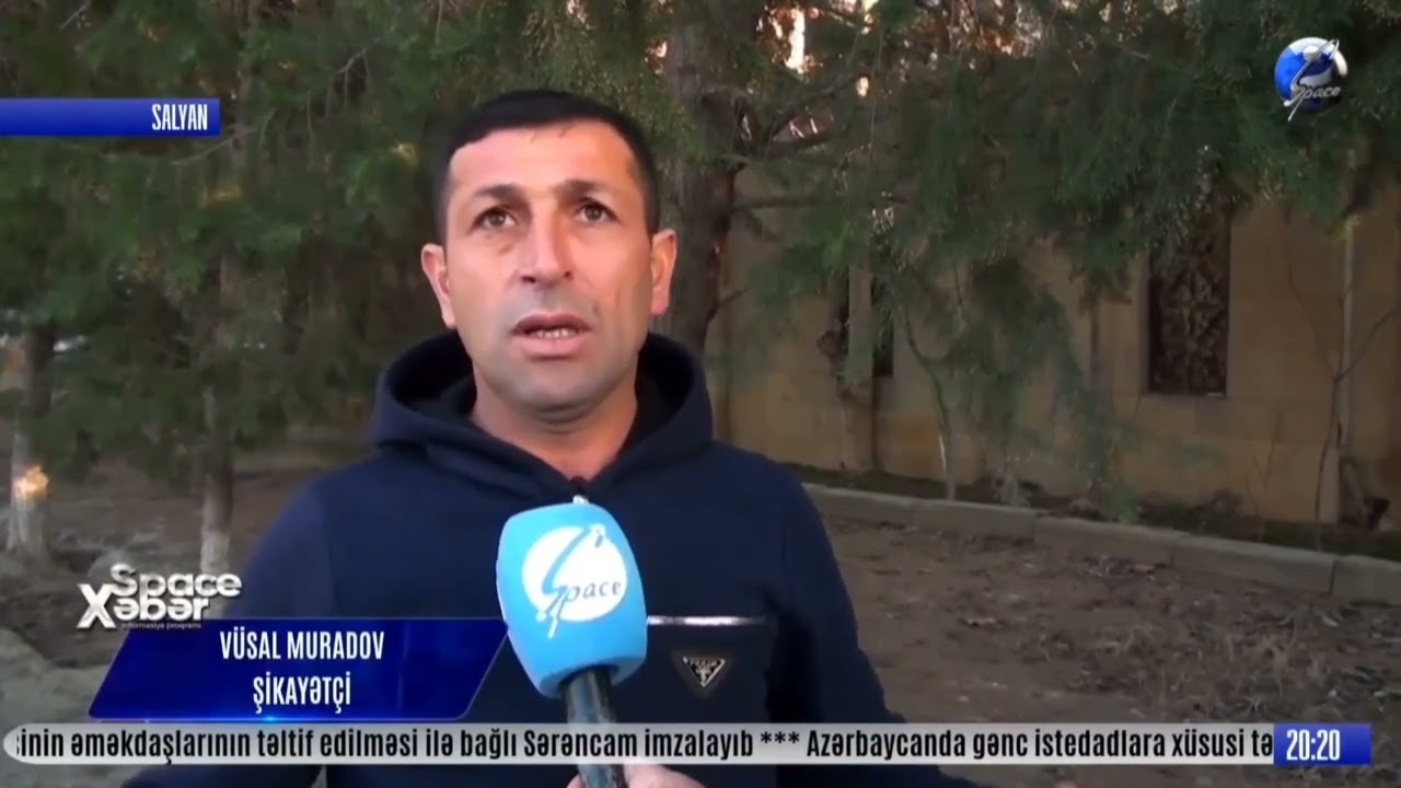 Salyanda ağac kəsilməsi ilə bağlı yaranan mübahisə..#salyan #spacetv 