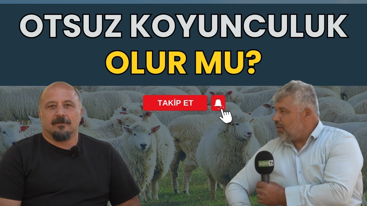 OTSUZ KOYUNCULUK OLUR MU? | HEKİM GÖRÜŞÜ