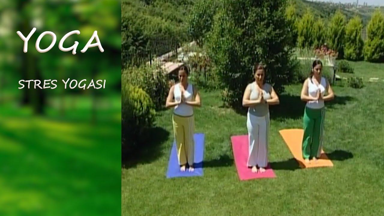STRESSİZ YAŞAM İÇİN YOGA - Dr. Neslihan İskit
