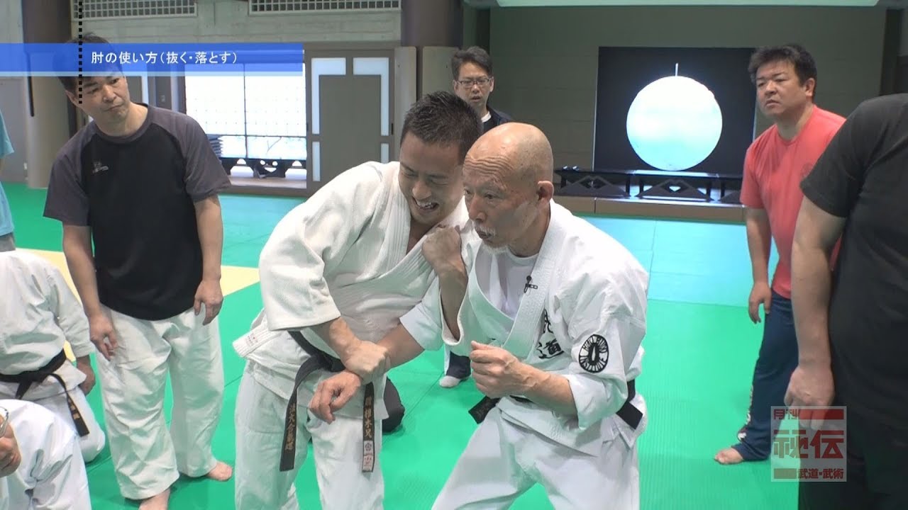 日野晃【肘の使い方（抜く・落とす）】達人セミナー　Hino Akira Budo principles workshop 2
