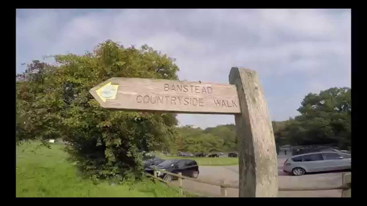 Walking Banstead Woods