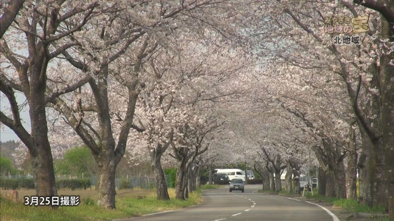 宮崎のかくれたお宝情報満載！！　「北地域」