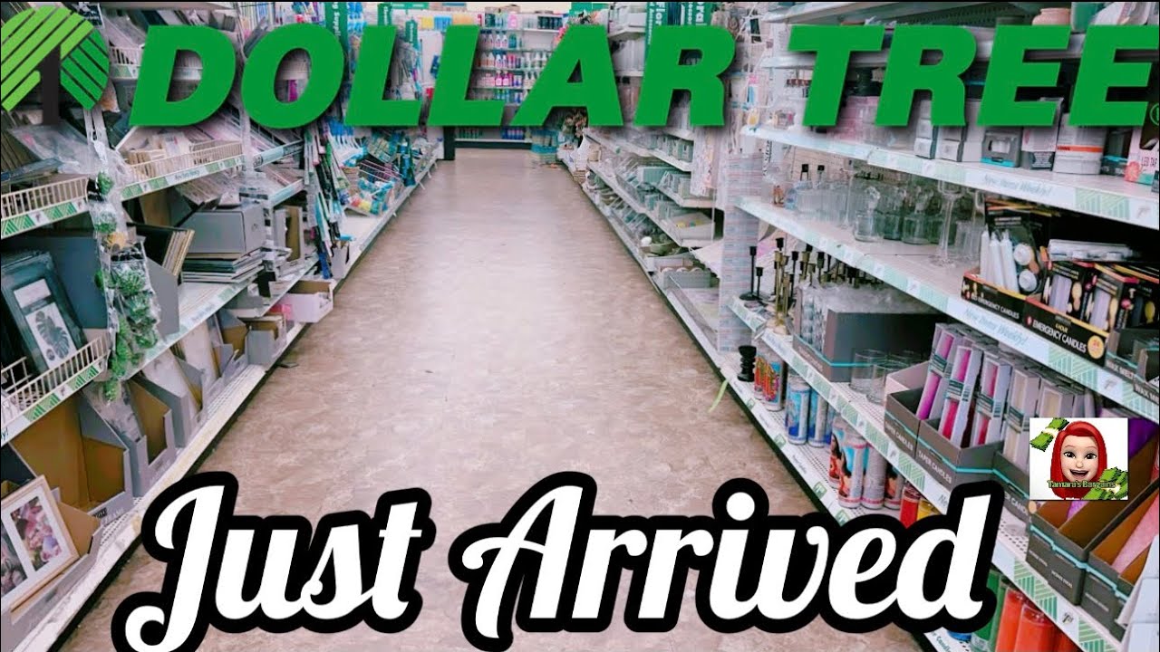 DOLLAR TREE🚨КРУТЫЕ НОВИНКИ ПО $1.25‼️#dollartree #шопинг #новинки