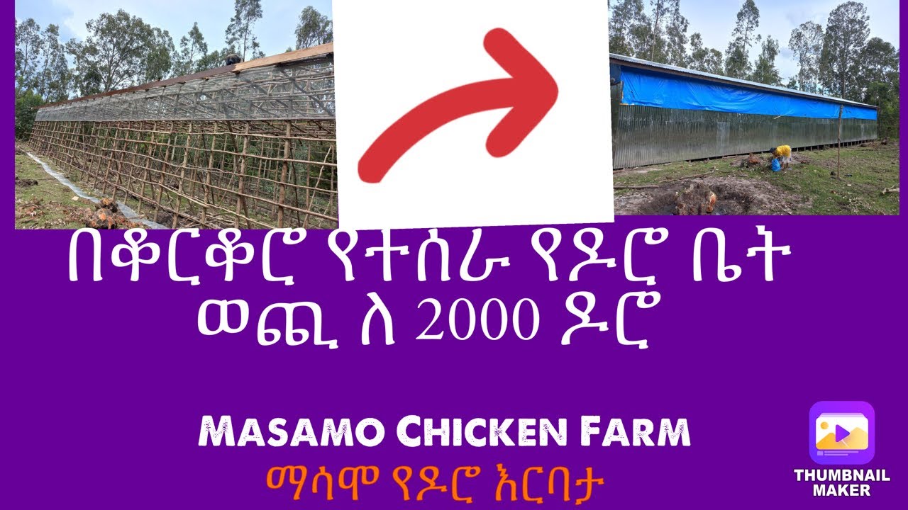 በቆርቆሮ የተሰራ የዶሮ ቤት ወጪ