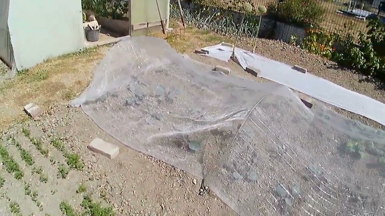 j'ai 10 ans de POTAGER super productif SANS EAU !!