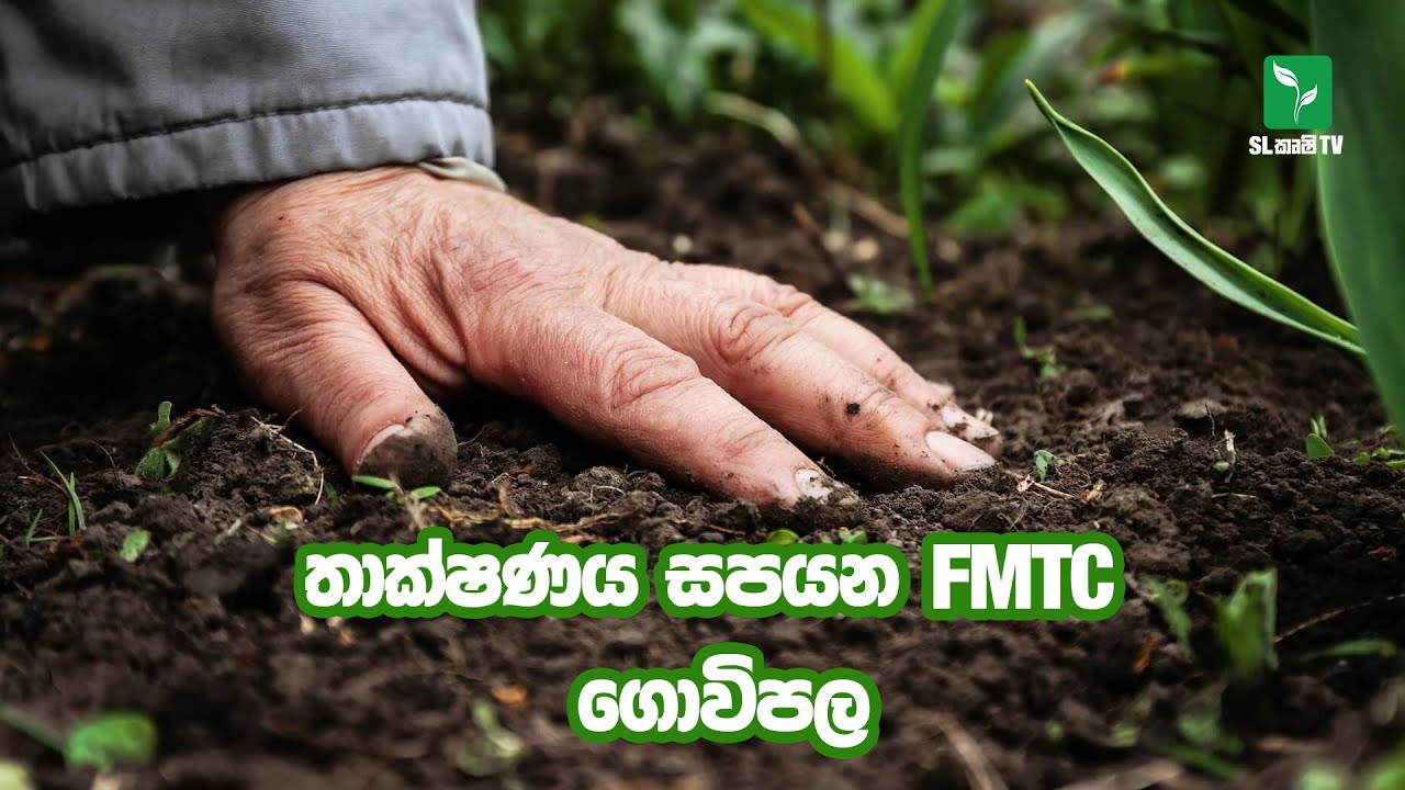 SL Krushi TV -  තාක්ෂණය සපයන FMTC ගොවිපල් අභ්‍යස මධ්‍යස්ථානය