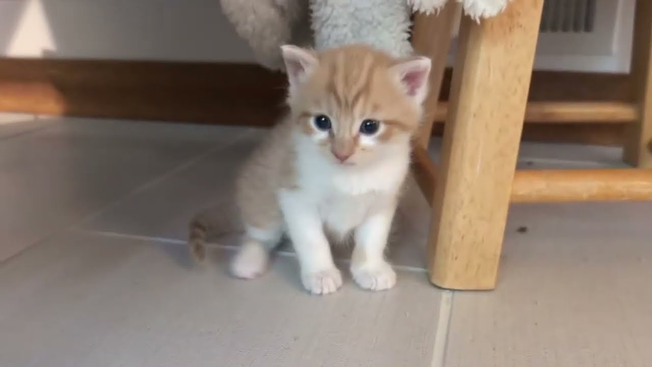 2025-09-15 Вводящий в заблуждение заголовок, на который хочется кликнуть