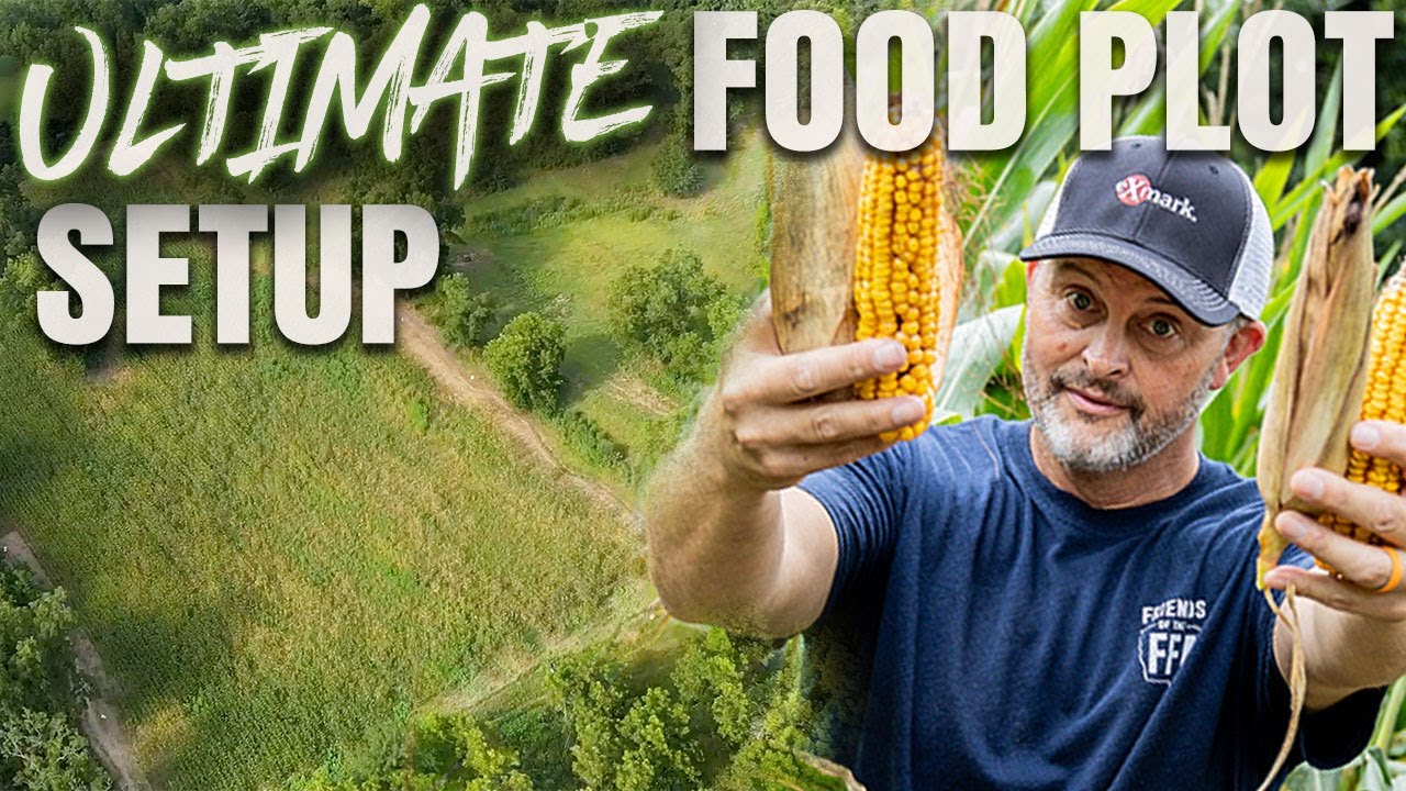 Is This Our Most Effective FOOD PLOT Setup Ever in Georgia!?