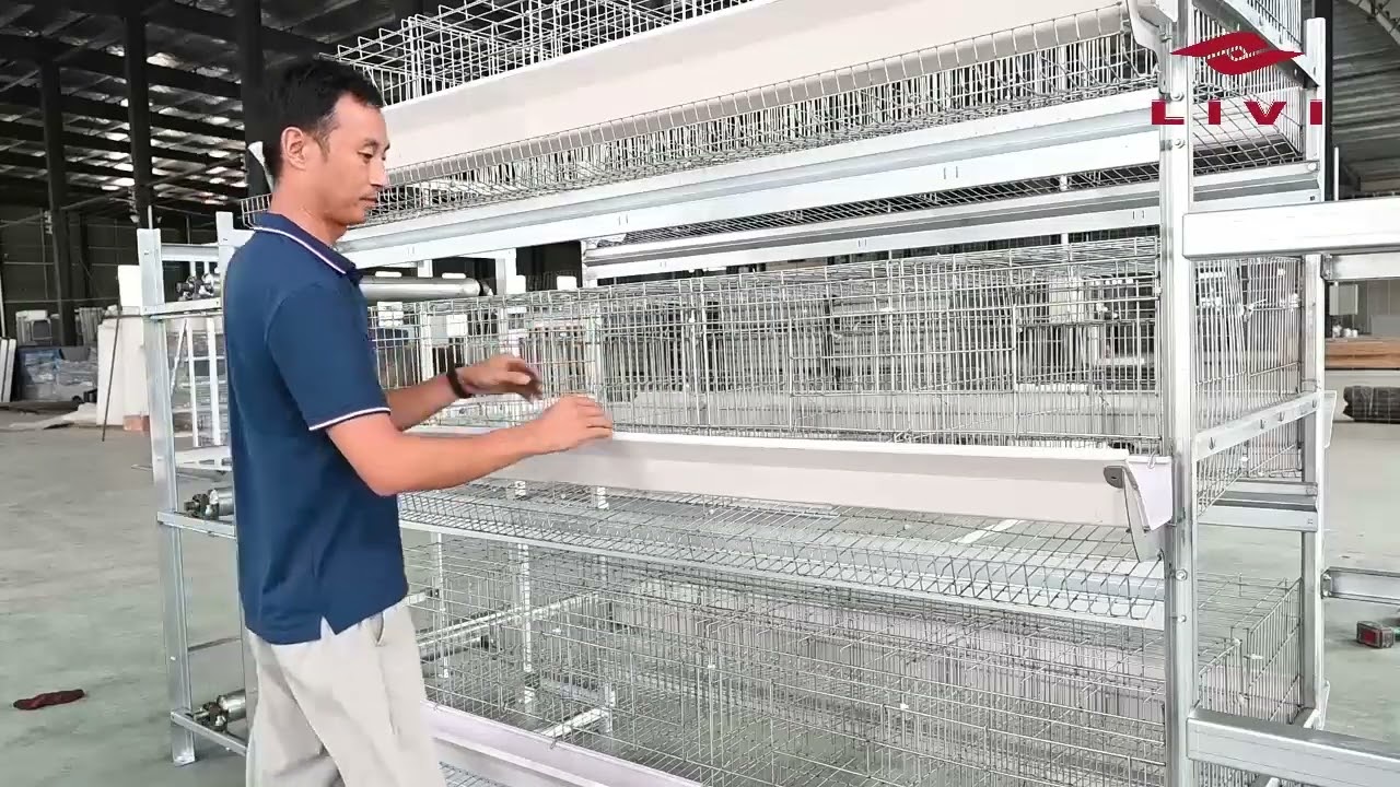 BATTERY CHICKEN CAGE SYSTEM