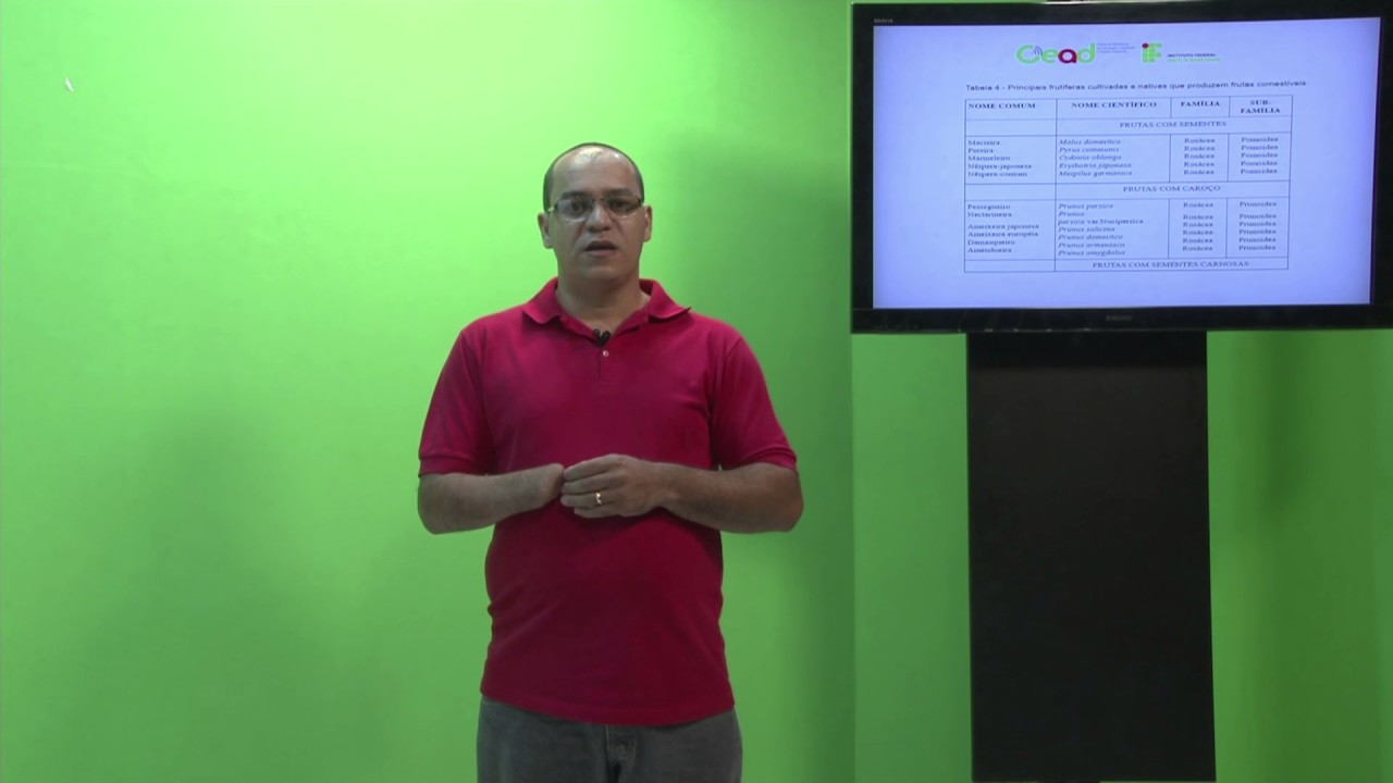 AULA 1 - FRUTICULTURA
