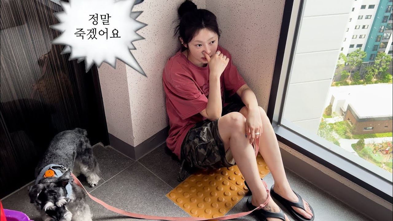 한여름마다 이사하는 사람의 6월 일상••• 이사 브이로그 🧳🧹🏡 VLOG