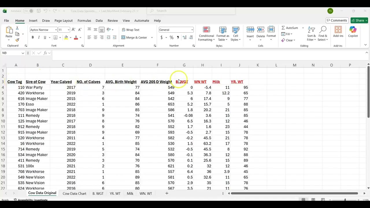 How to Filter Data in Excel