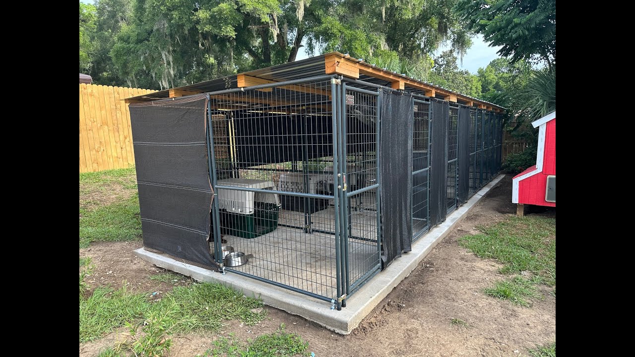 TSC Retriever Dog Kennel (6) Install Part 3 - Sun shades, fans, shrubs and our new Serbian stud!