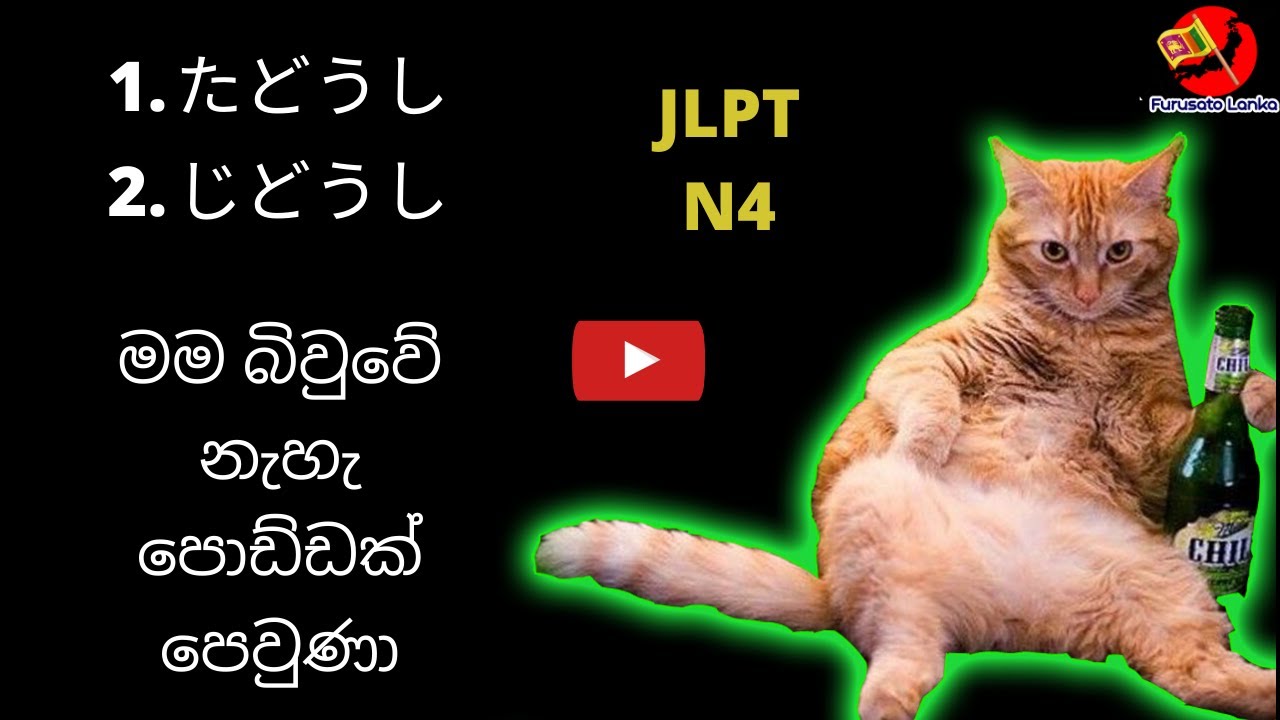 Japanese in sinhala ｜たどうし,じどうし සකර්මක අකර්මක #furusatolanka