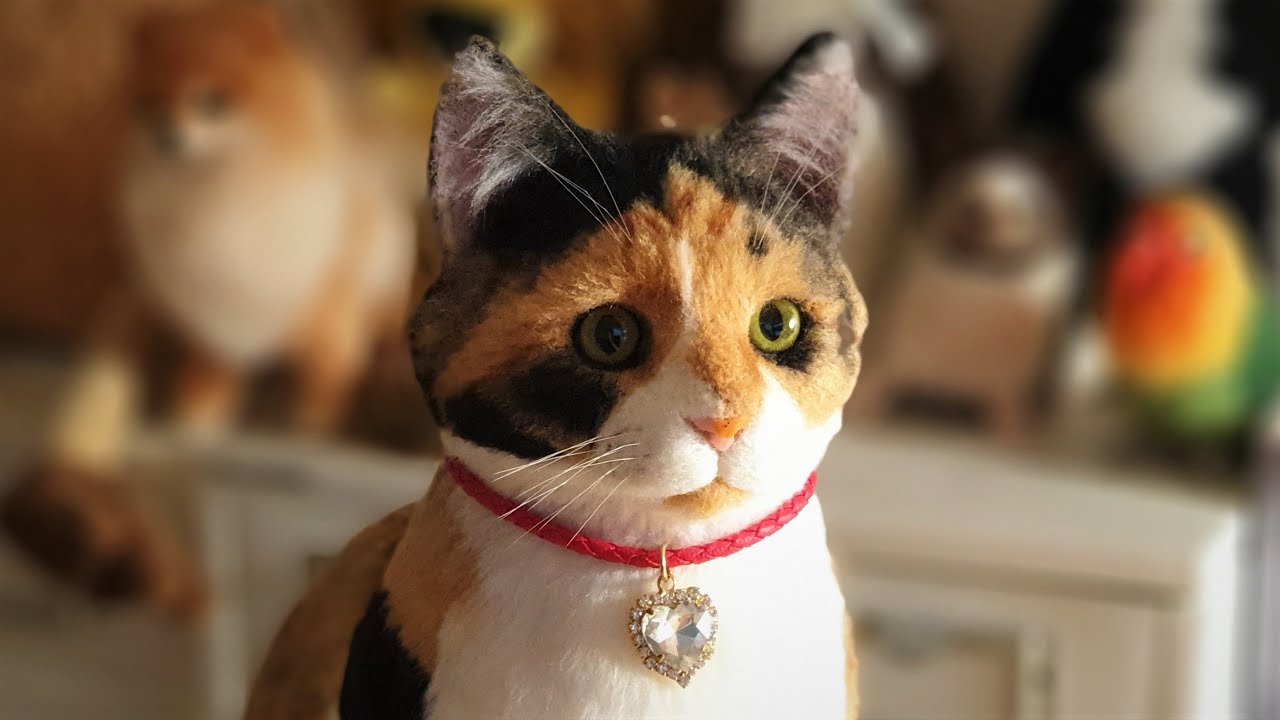 Needle Felt Cat Tutorial '여름이' 만들기!