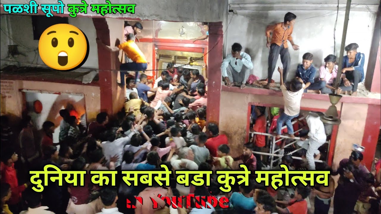 दूनिया का से बडा कुत्रे मोहत्सव सुपो महाराज संस्थान पळशी सुपो supo Maharaj kutrotsav #palshisupo2023