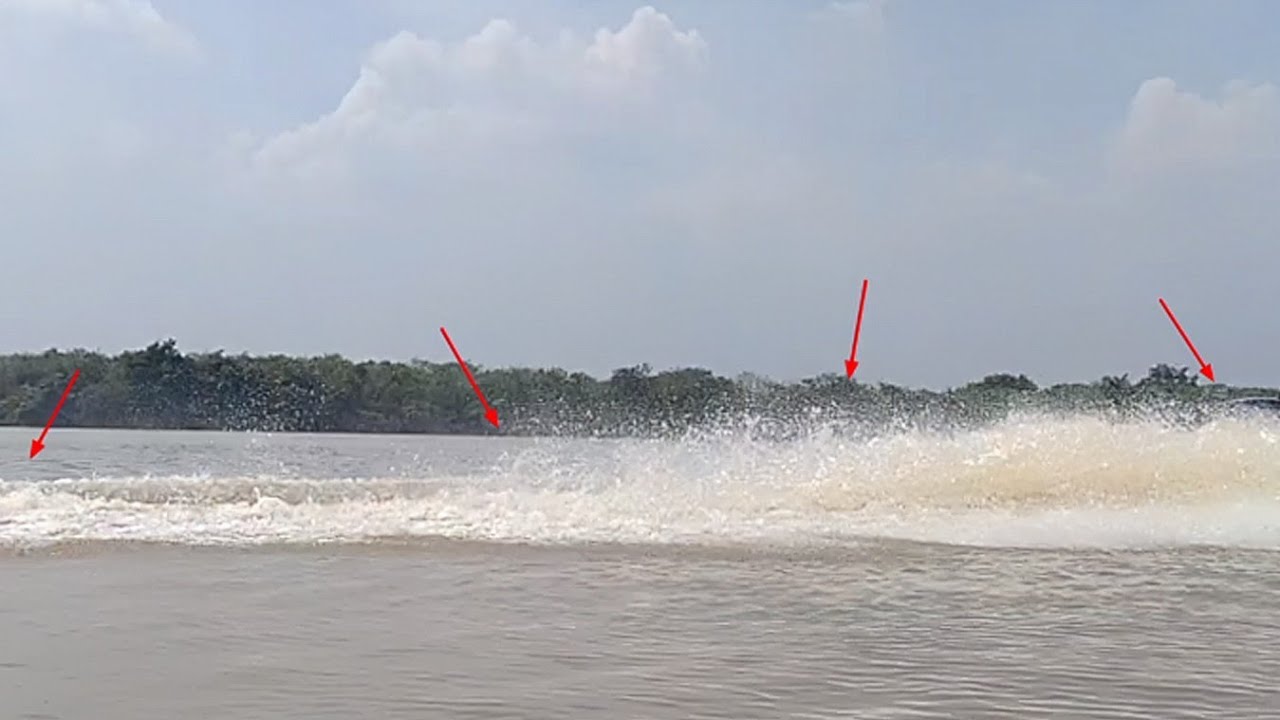 MENDEBARKAN.!! JIKA SAYA TIDAK PEGANGAN POHON HAL BURUK BISA TERJADI.!! MANCING UDANG GALAH 