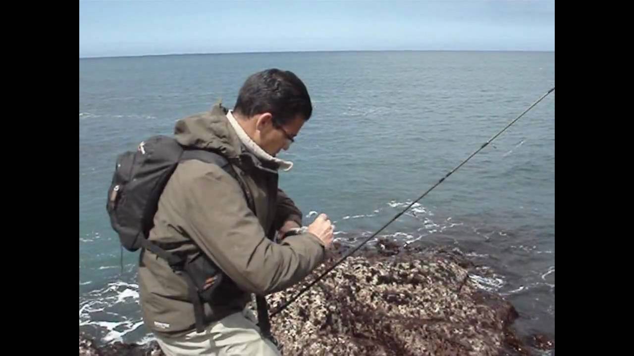 PECHE PLOUGASNOU 2/2
