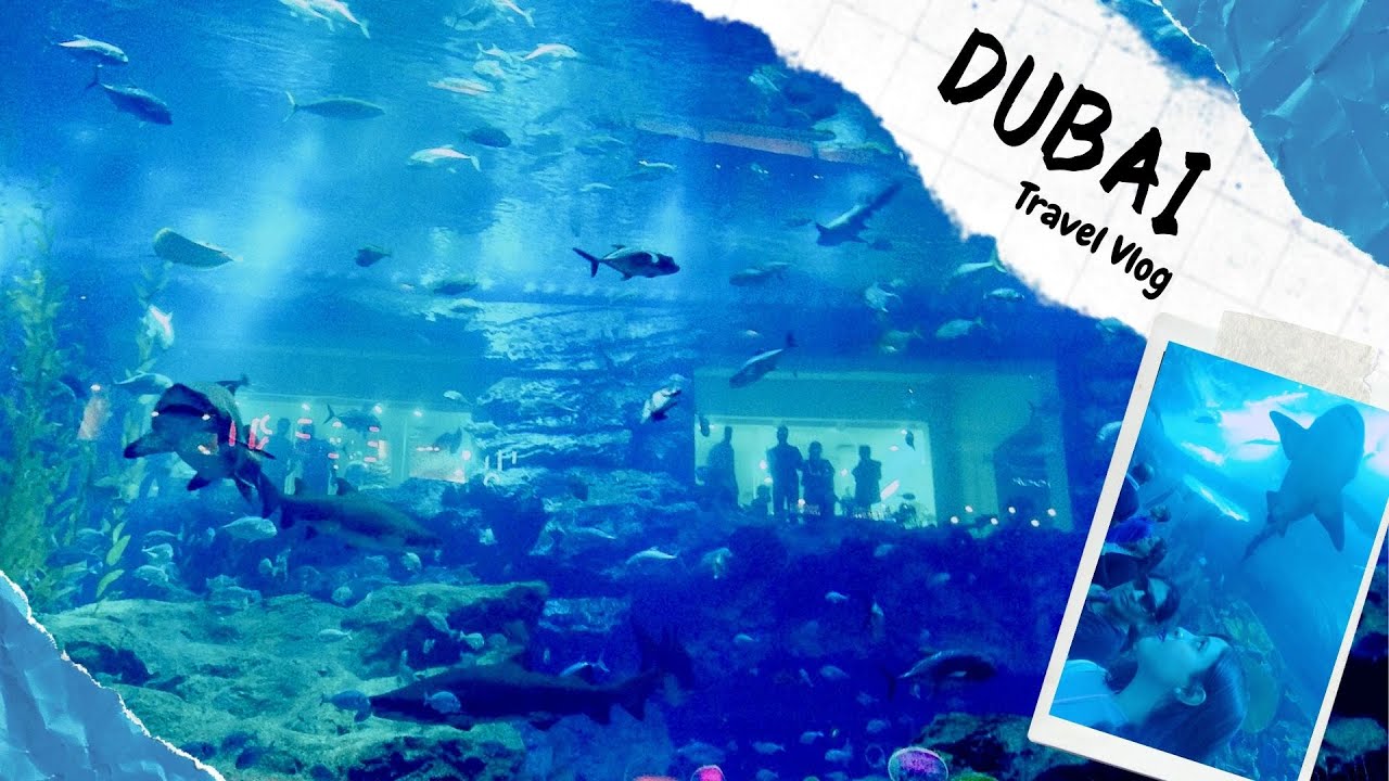 Dubai travel vlog Part 2| Dubai Aquarium| Glass Bottom Boat | Under Water Zoo.#dubai #vlog #lee_hari