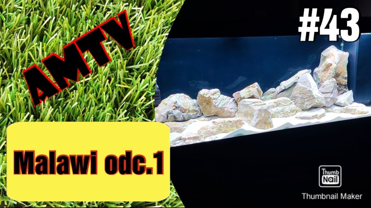 43#Malawi - jak założyć akwarium z biotopem jeziora Malawi. Część 1.