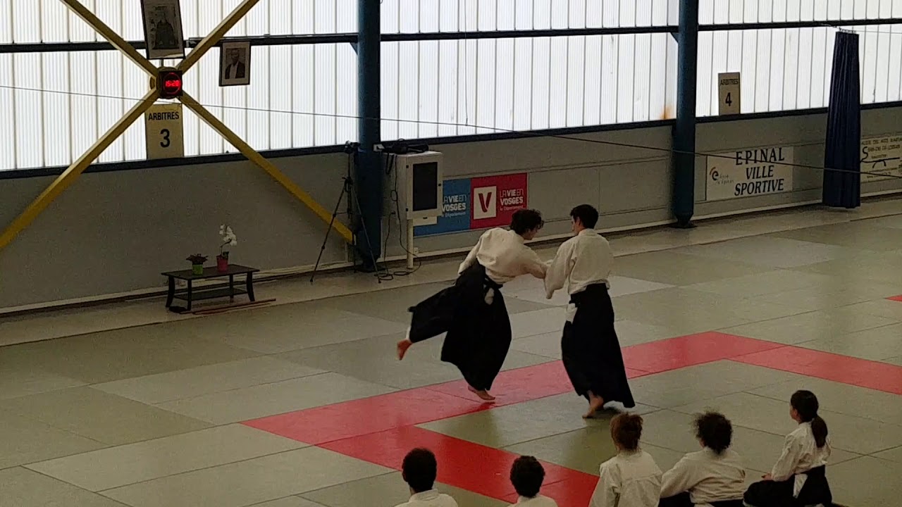 D&eacute;monstration Aikido Gabriel FEMENIAS CEN 5&egrave;me Dan stage Epinal