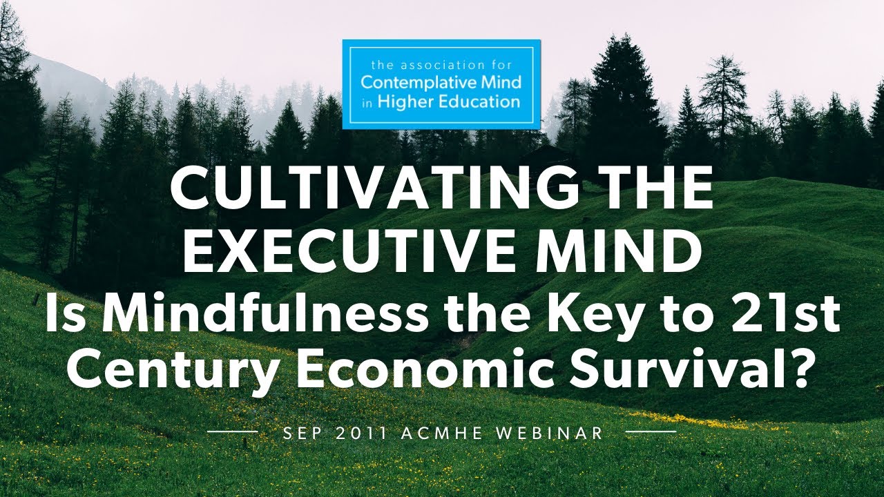 Cultivating the Executive Mind (2011 ACMHE Webinar with Jeremy Hunter)