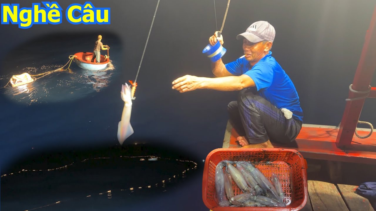 Nghề Câu thả dù đốt điện câu mực gặp bầy cá ngừ đánh mành lùi - Dân Biển